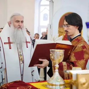 AGR_7174 копия