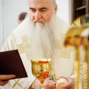 AGR_7240 копия
