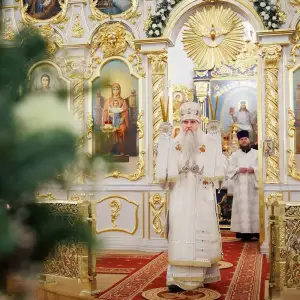 AGR_7854 копия