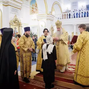 AGR_8431 копия