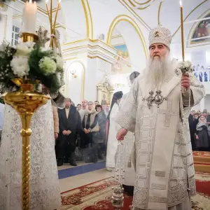 AGR_8667 копия