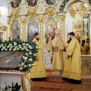 AGR_8796 копия
