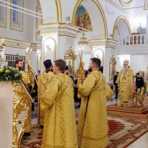 AGR_9506 копия