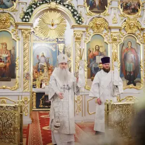AGR_9516 копия