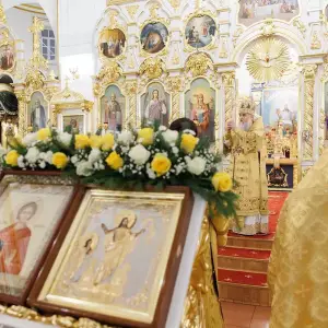 AGR_9874 копия