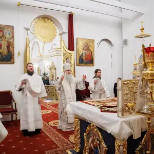 AGR_9938 копия