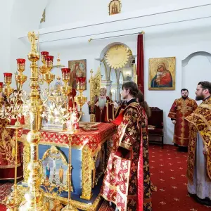 AGR_0576 копия