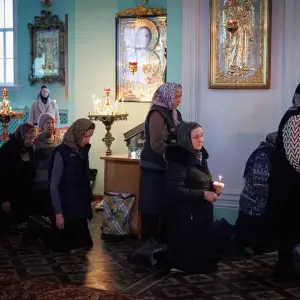 AGR_0895 копия
