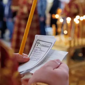 AGR_1533 копия