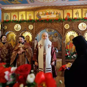 AGR_1554 копия
