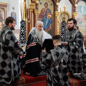 AGR_2569 копия