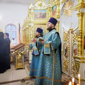 AGR_2573 копия