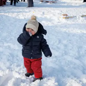 AGR_2733 копия