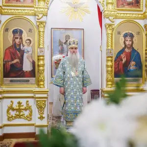 AGR_3391 копия