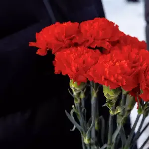 AGR_4063 копия