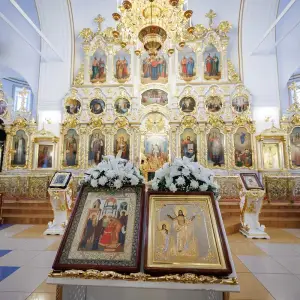AGR_6263 копия