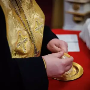 AGR_6503 копия