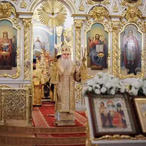 AGR_7945 копия