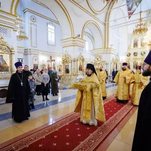 AGR_8145 копия