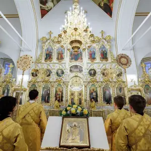 AGR_8502 копия