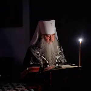 AGR_8724 копия