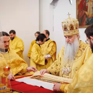 AGR_9539 копия