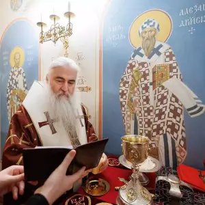 AGR_9551 копия