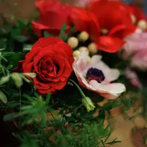 AGR_9760 копия