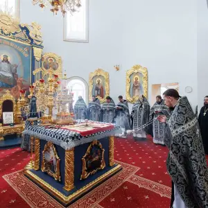AGR_0463 копия