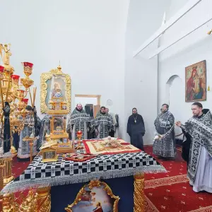 AGR_0478 копия