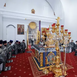 AGR_1156 копия