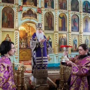 AGR_2594 копия