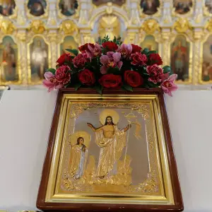 AGR_3606 копия