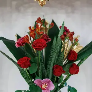 AGR_3832 копия