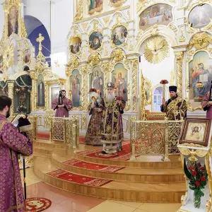 AGR_4115 копия