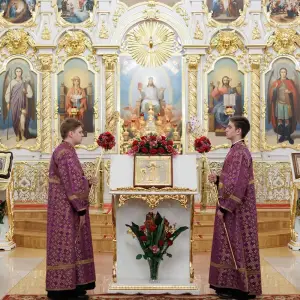 AGR_4207 копия