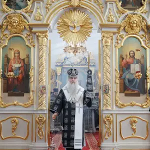 AGR_4245 копия