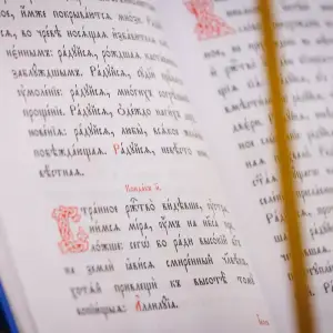 agr_5099-kopiya-2023_03_31_2143