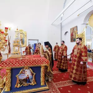 AGR_5643 копия