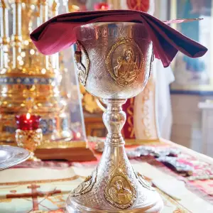agr_4699-kopiya-2023_04_20_1442