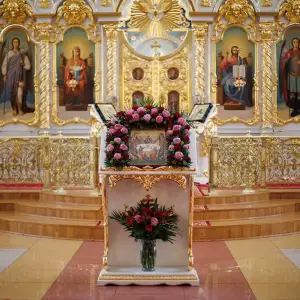 agr_8232-kopiya-2023_04_13_1250
