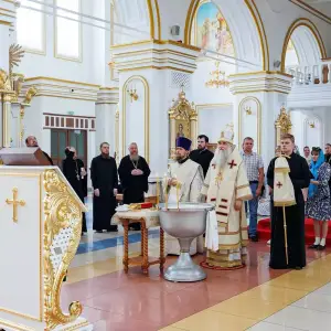 agr_8153-kopiya-2023_05_31_1415