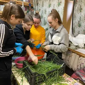 zsettxsv-fy-2023_05_11_2034