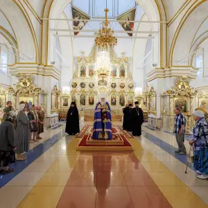 agr_1153-kopiya-2023_06_17_2233