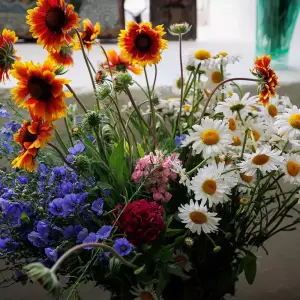 agr_1490-kopiya-2023_06_18_1710