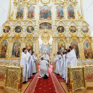 agr_4621-kopiya-2023_06_03_1212