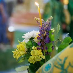 agr_7013-kopiya-2023_06_03_2135