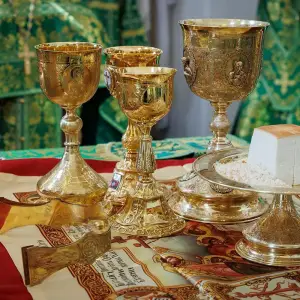 agr_9362-kopiya-2023_06_04_1349