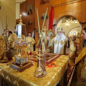 agr_1696-kopiya-2023_07_12_1504