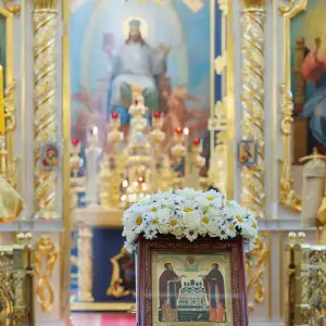 agr_4906-kopiya-2023_07_08_1521